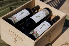 Lacerta