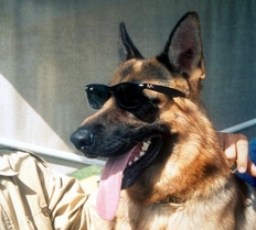 Gunther al IV-lea