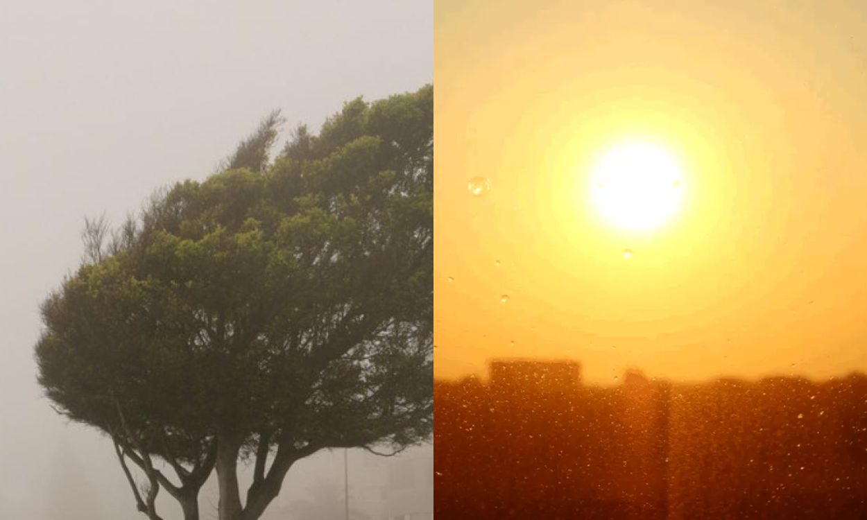 Caniculă extremă în sudul României: ce vremuri ne așteaptă în București?