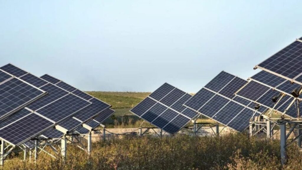 România, pionier surprinzător în energia solară. De ce mizează pe baterii înainte ca rețeaua să fie sufocată de fotovoltaice