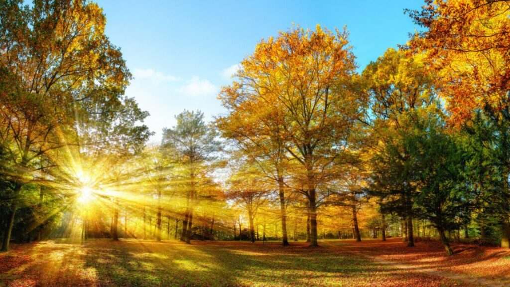 Cum va fi vremea în septembrie și la început de octombrie. Unde se anunță temperaturi peste normal
